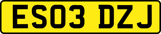 ES03DZJ
