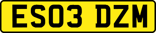 ES03DZM