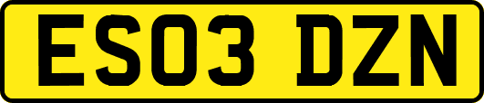 ES03DZN