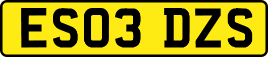 ES03DZS