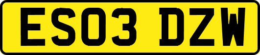 ES03DZW