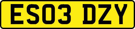 ES03DZY