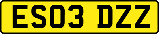 ES03DZZ