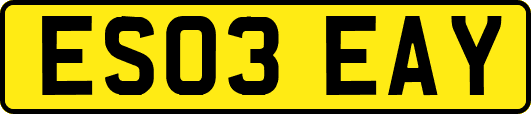 ES03EAY