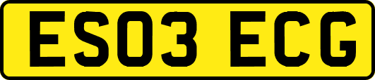 ES03ECG