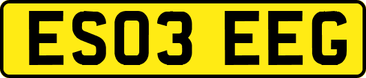 ES03EEG