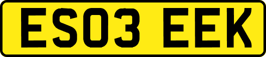 ES03EEK