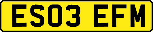 ES03EFM