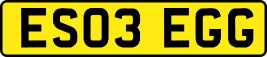 ES03EGG