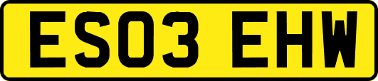 ES03EHW