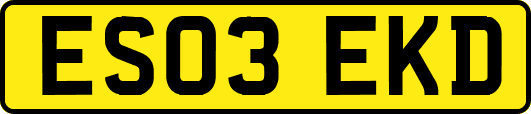 ES03EKD