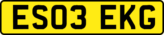 ES03EKG
