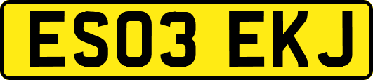ES03EKJ