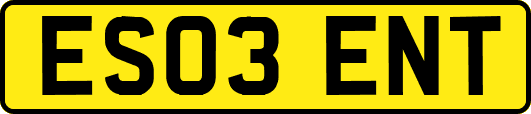 ES03ENT