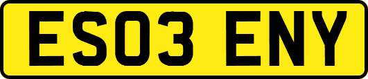 ES03ENY