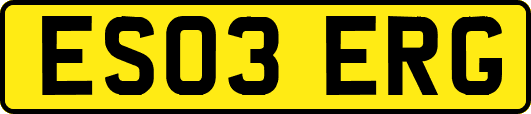 ES03ERG