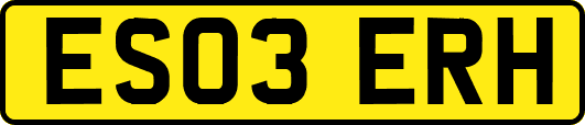 ES03ERH