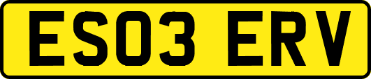 ES03ERV