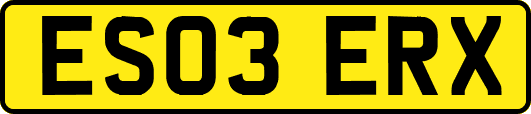 ES03ERX
