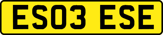 ES03ESE
