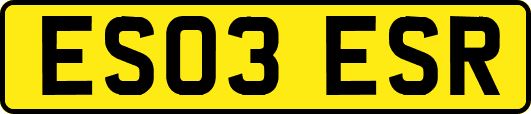 ES03ESR