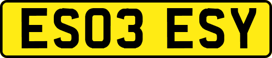 ES03ESY