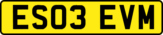 ES03EVM