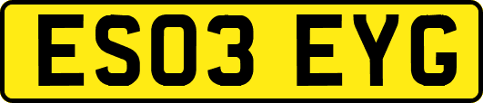 ES03EYG