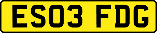 ES03FDG