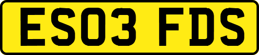 ES03FDS
