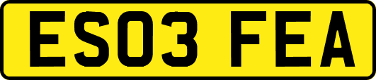 ES03FEA