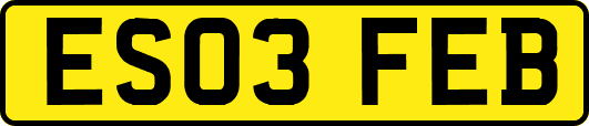 ES03FEB