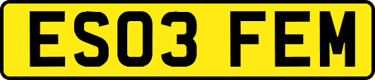ES03FEM