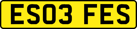 ES03FES