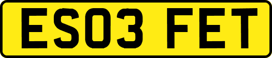 ES03FET