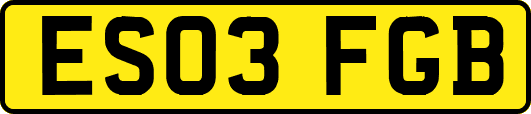 ES03FGB