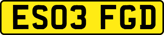 ES03FGD