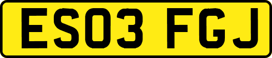ES03FGJ