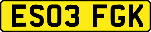ES03FGK