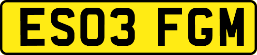 ES03FGM
