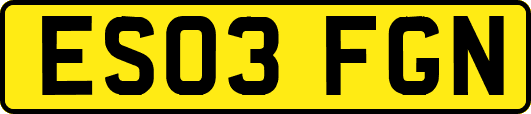 ES03FGN