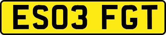 ES03FGT