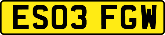ES03FGW