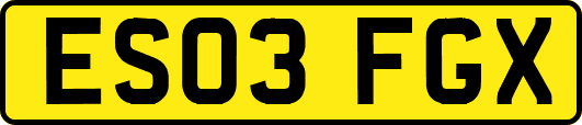 ES03FGX