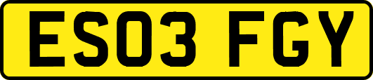 ES03FGY