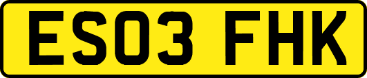ES03FHK