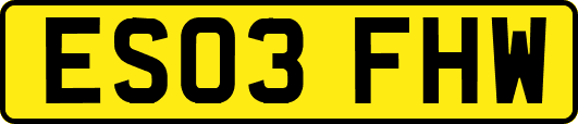 ES03FHW