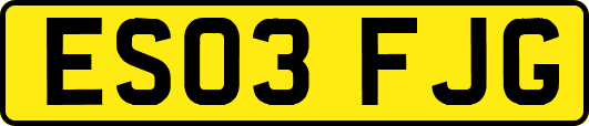 ES03FJG