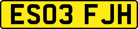ES03FJH