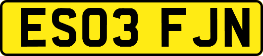 ES03FJN